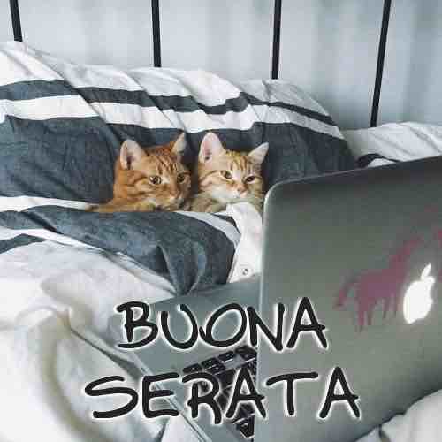 immagini buona serata