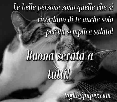 immagini buona serata