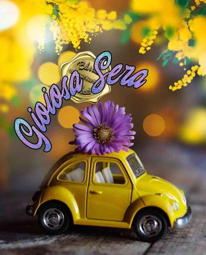 immagini buona serata
