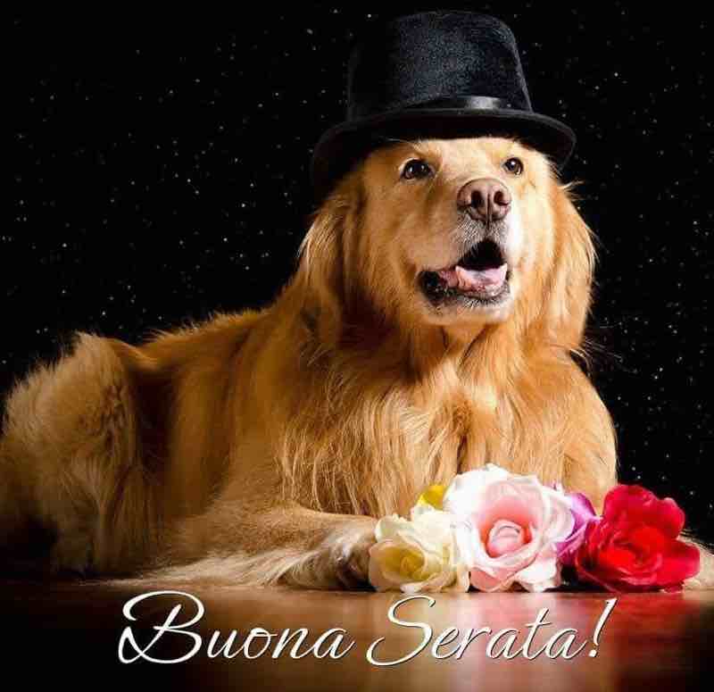 immagini buona serata