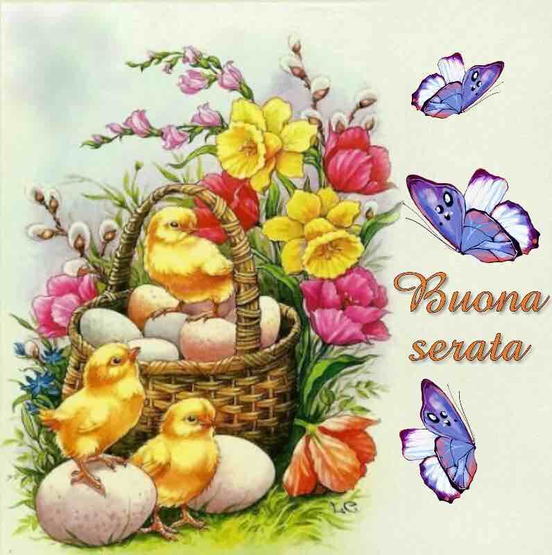 immagini buona serata