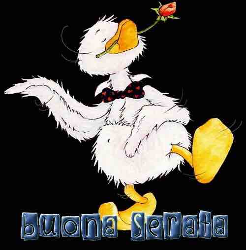 immagini buona serata