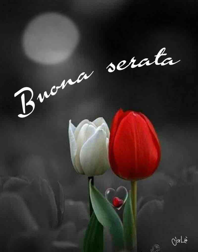 immagini buona serata