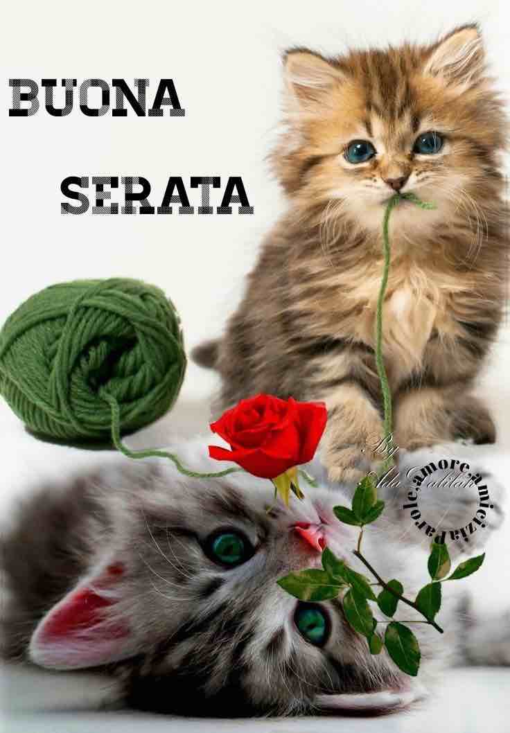 immagini buona serata