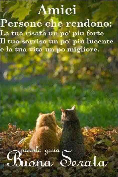 immagini buona serata