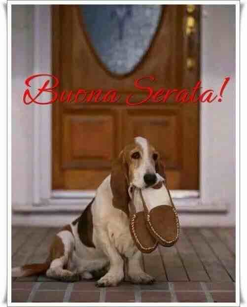 immagini buona serata