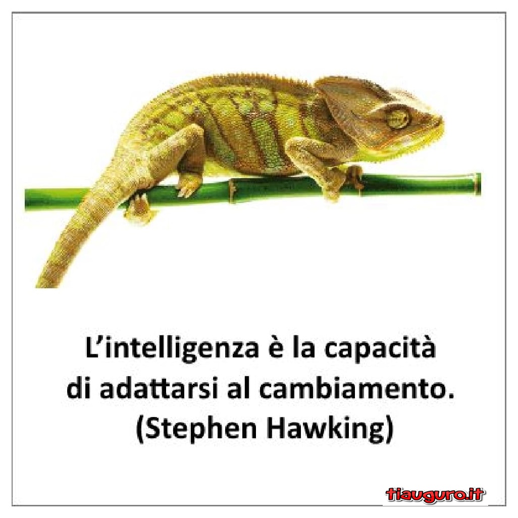 Immagini e stati divertenti per Whatsapp