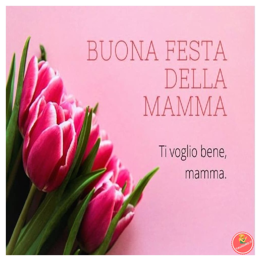 immagini  festa della mamma