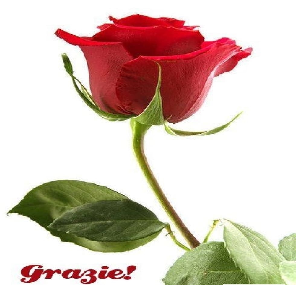Immagini grazie