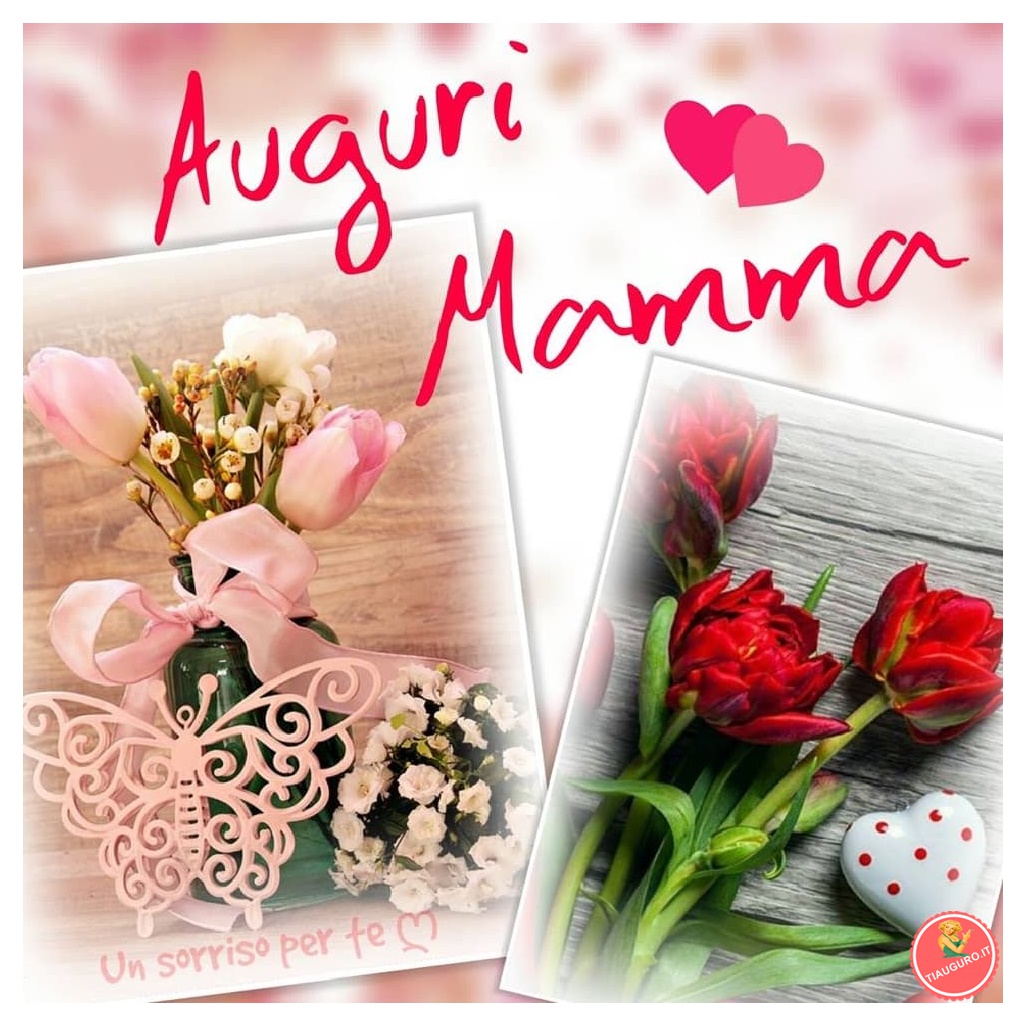 immagini  festa della mamma