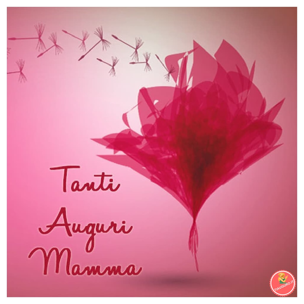 immagini  festa della mamma