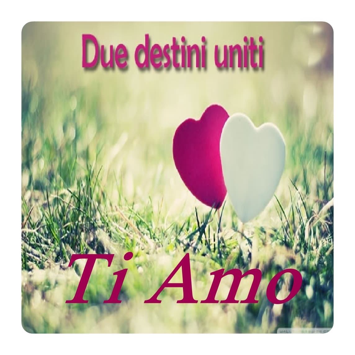 Immagini ti amo