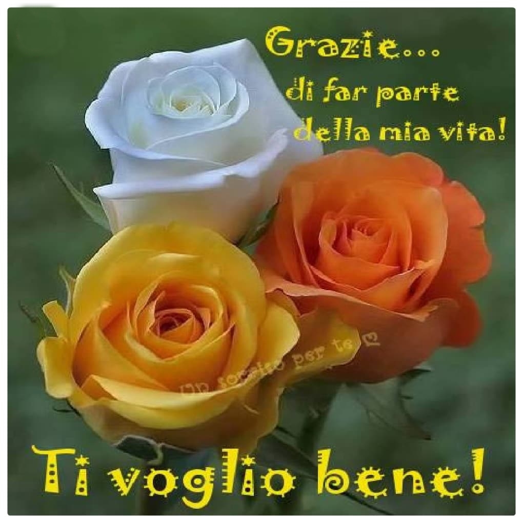 Immagini ti voglio Bene